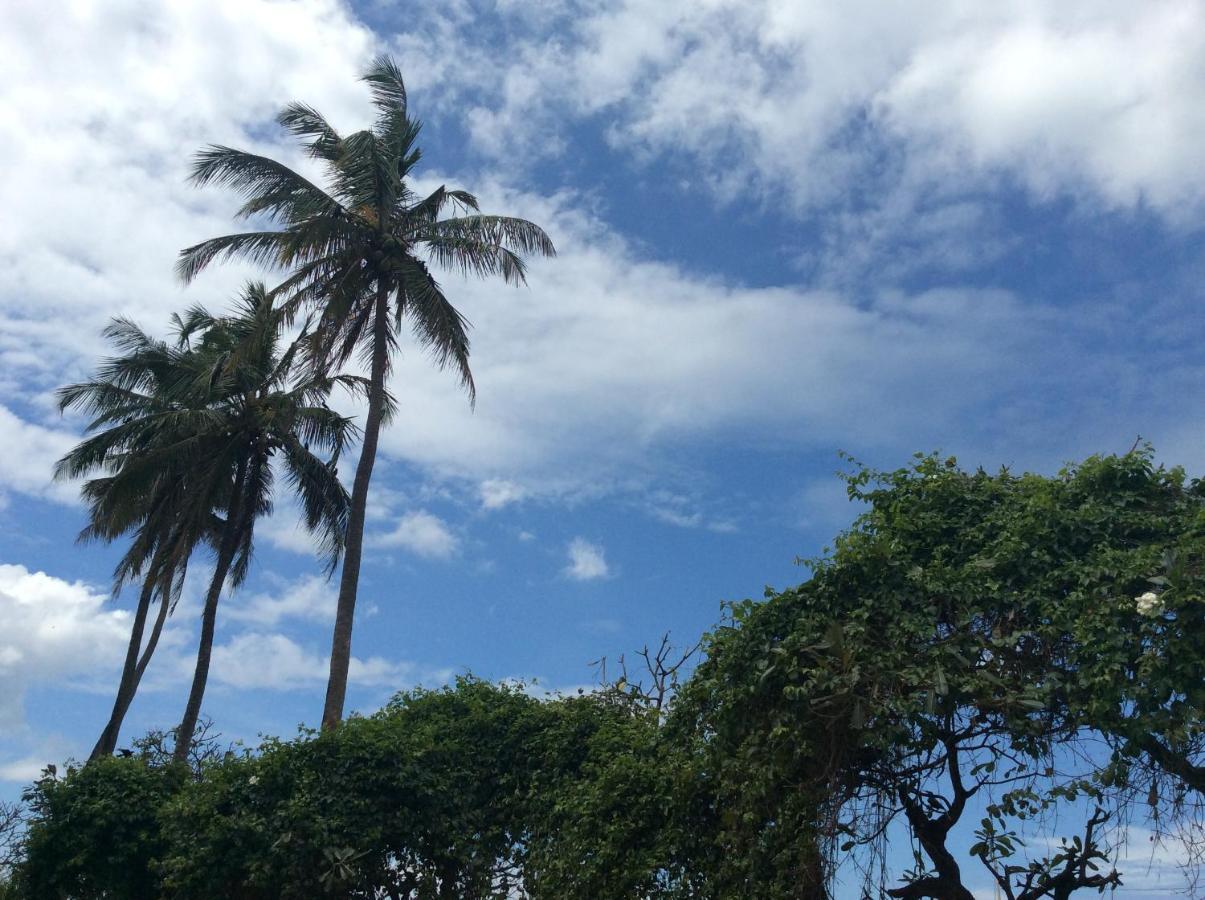 New Rest House Sea View Hotel Negombo Esterno foto